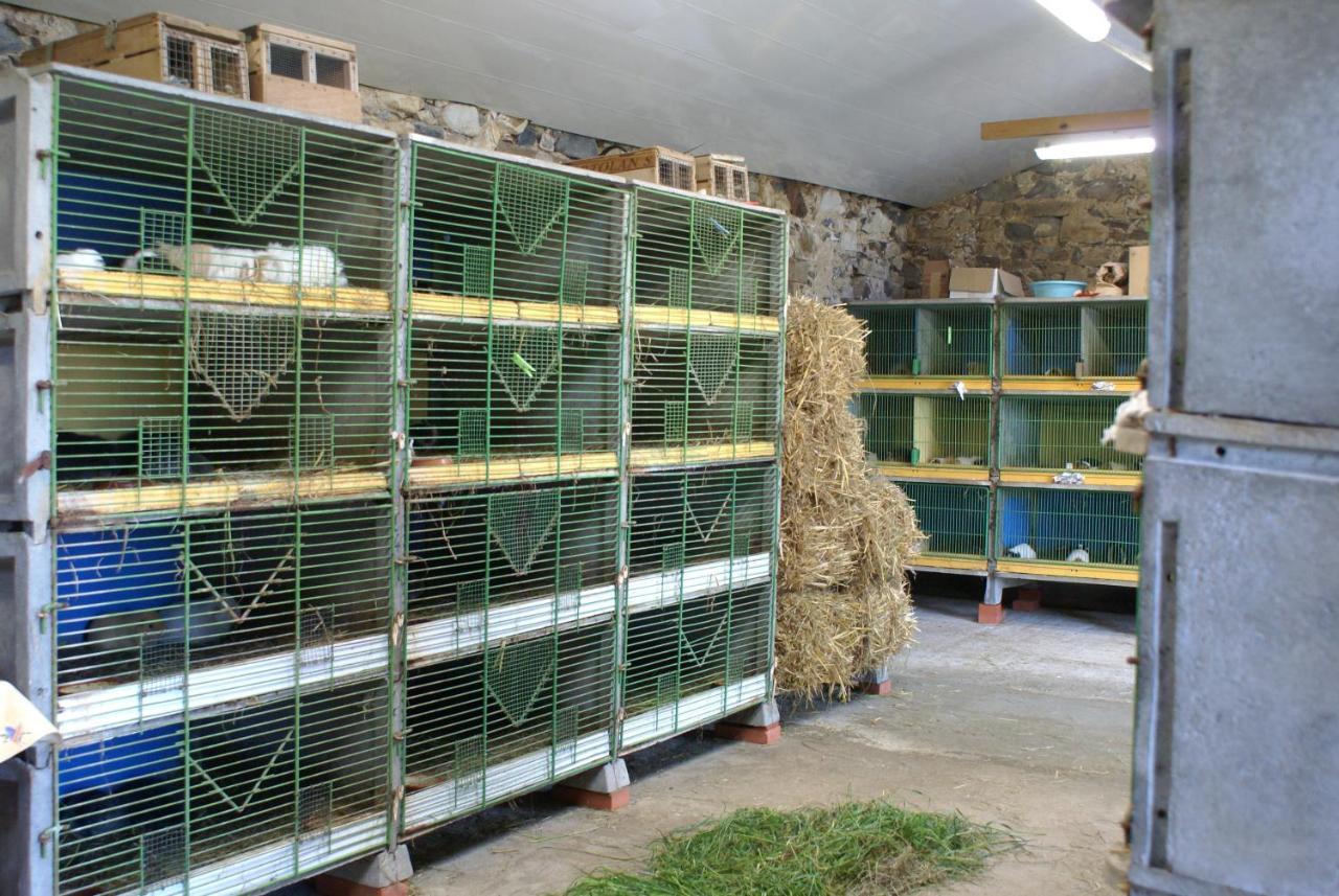 Le Logis Des Chons A La Campagne A Saint Hilaire Du Bois - Lys Haut Layon Le Plessis  Εξωτερικό φωτογραφία